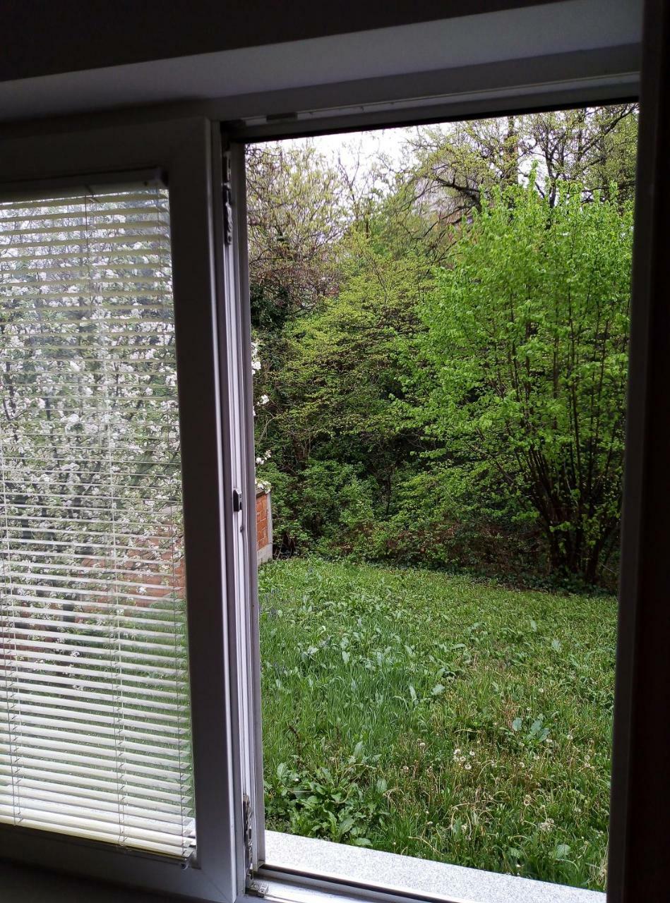 Apartman Miljkovic Arandjelovac Exteriör bild