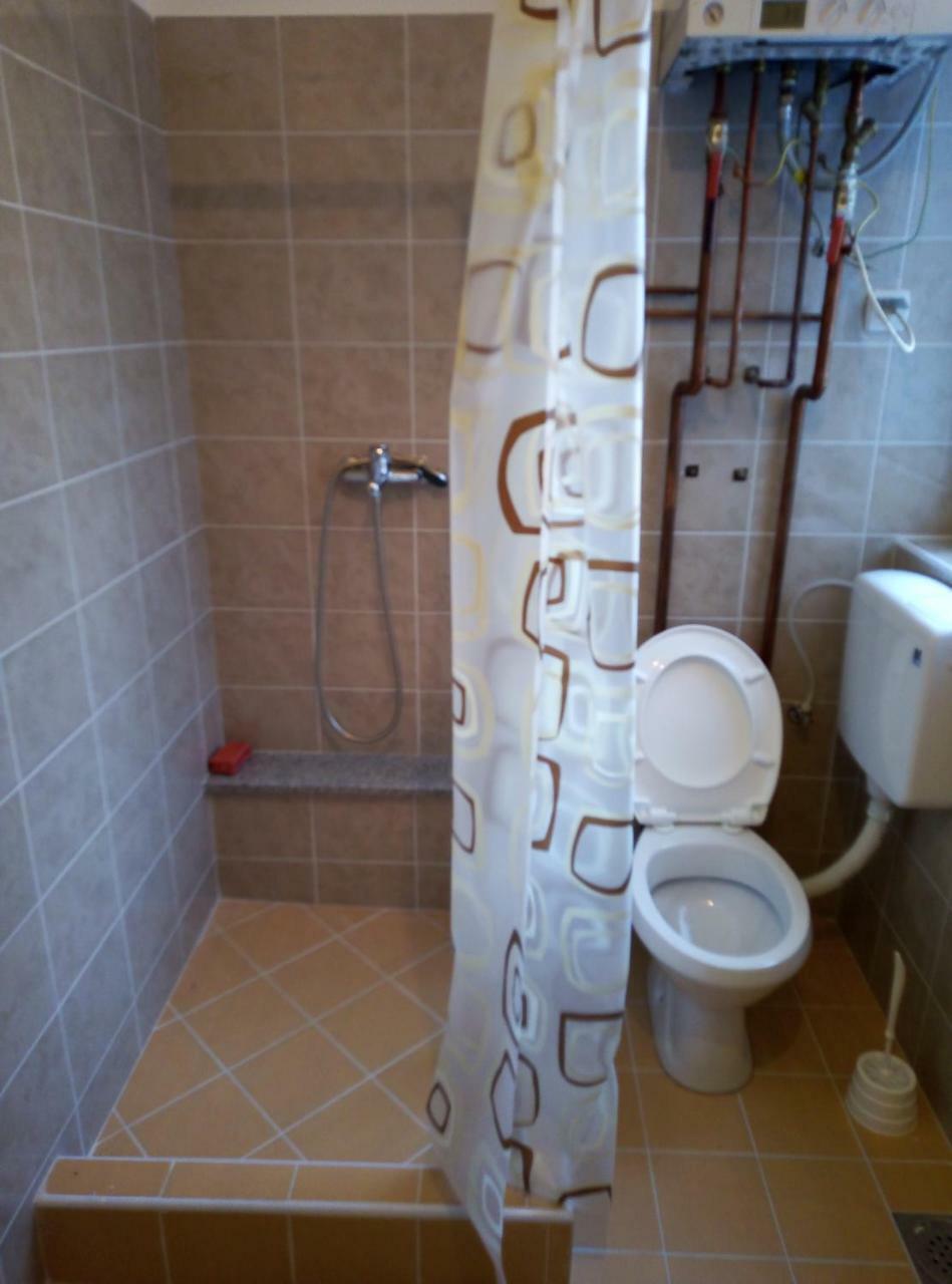 Apartman Miljkovic Arandjelovac Exteriör bild