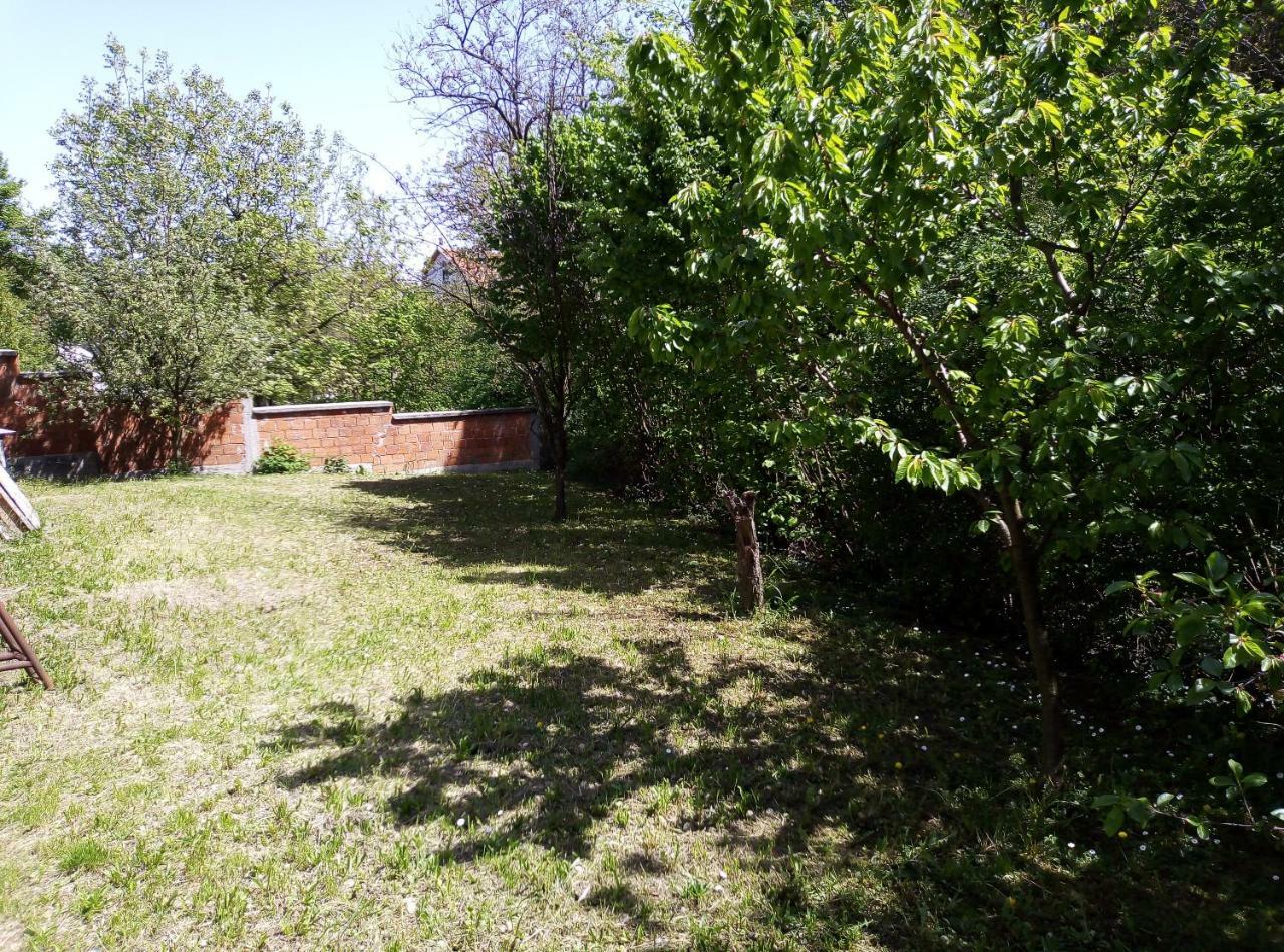 Apartman Miljkovic Arandjelovac Exteriör bild